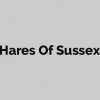 Hares Of Sussex