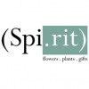 Spirit