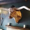 The Bull Hotel