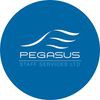 Pegasus Staff Services