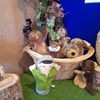 Bridgemont Nursery