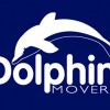 Dolphin Movers