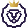 V S I Enterprises
