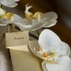 Aspen Holistic & Beauty Therapies