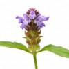 Self Heal Systems