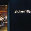 Alchemilla