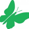 Admiral Scaffolding Group
