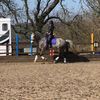 Sheffield Equestrian Centre