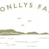 Bronllys Farm