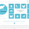 All-clear Pest Control