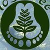 Yoga Tree