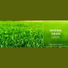 Tuda Artificial Grass Direct