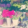 Floral Design House