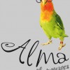Alma Languages