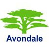 Avondale Environmental Services