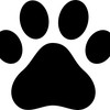 Pet Sitting West London