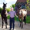 All Ashes Equestrian
