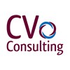 C V Consulting