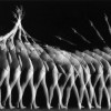 Judit Meixner