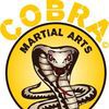 Cobra Martial Arts Scotland
