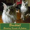 Brockhall Boarding Kennels