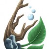 Aquarium Gardens