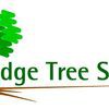 Elmbridge Tree Services