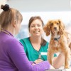 Summerhill Veterinary Centre