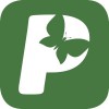 Partington's