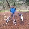 Happy Paws Dog Walking & Pet Sitting