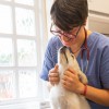 Newbridge Veterinary Surgery