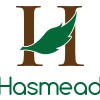 Hasmead