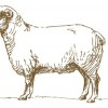 Bear Of Rodborough Hotel