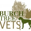 Burch Tree Vets Morecambe