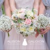 Ali Gaudion Wedding Photographer