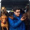 Kensington Hounds