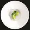Cater Hire Services