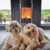Speyside Stoves