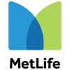 Metlife Investments