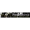 Balti International