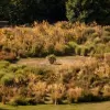 Mount Ephraim Country House & Gardens