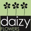 Daizy Flowers