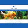 Home & Garden Aquatics