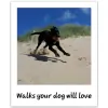 Alpha Pet Care