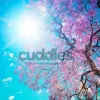 Cuddles Day Nursery