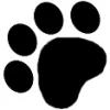 South Notts Dog Grooming
