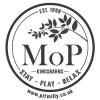 Morton of Pitmilly