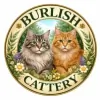 Burlish Cattery