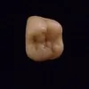 Karma Dental Care