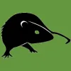Donkill Pest Solutions